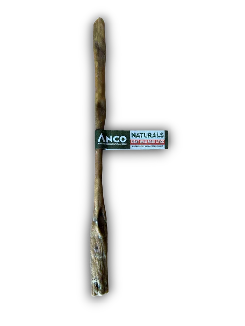 Anco Naturals Giant Wild Boar Stick dog chew with label, long natural bone treat on black background