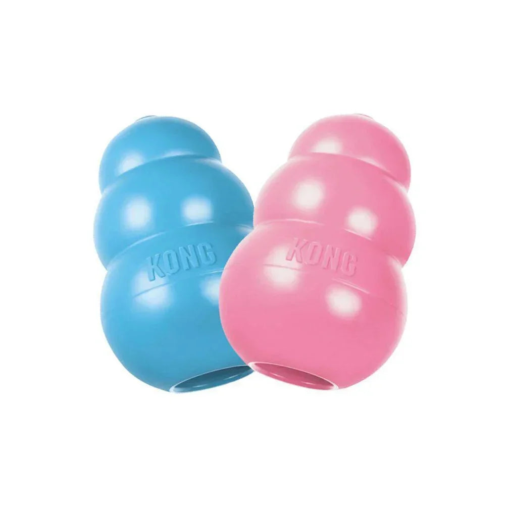 Kong Puppy - Medium - North East Pet Shop KONG