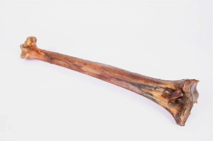 Doodles Deli Air Dried Ostrich Mini Caveman Bone