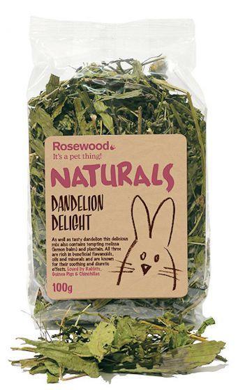 Dandelion Delight Salad - North East Pet Shop Rosewood