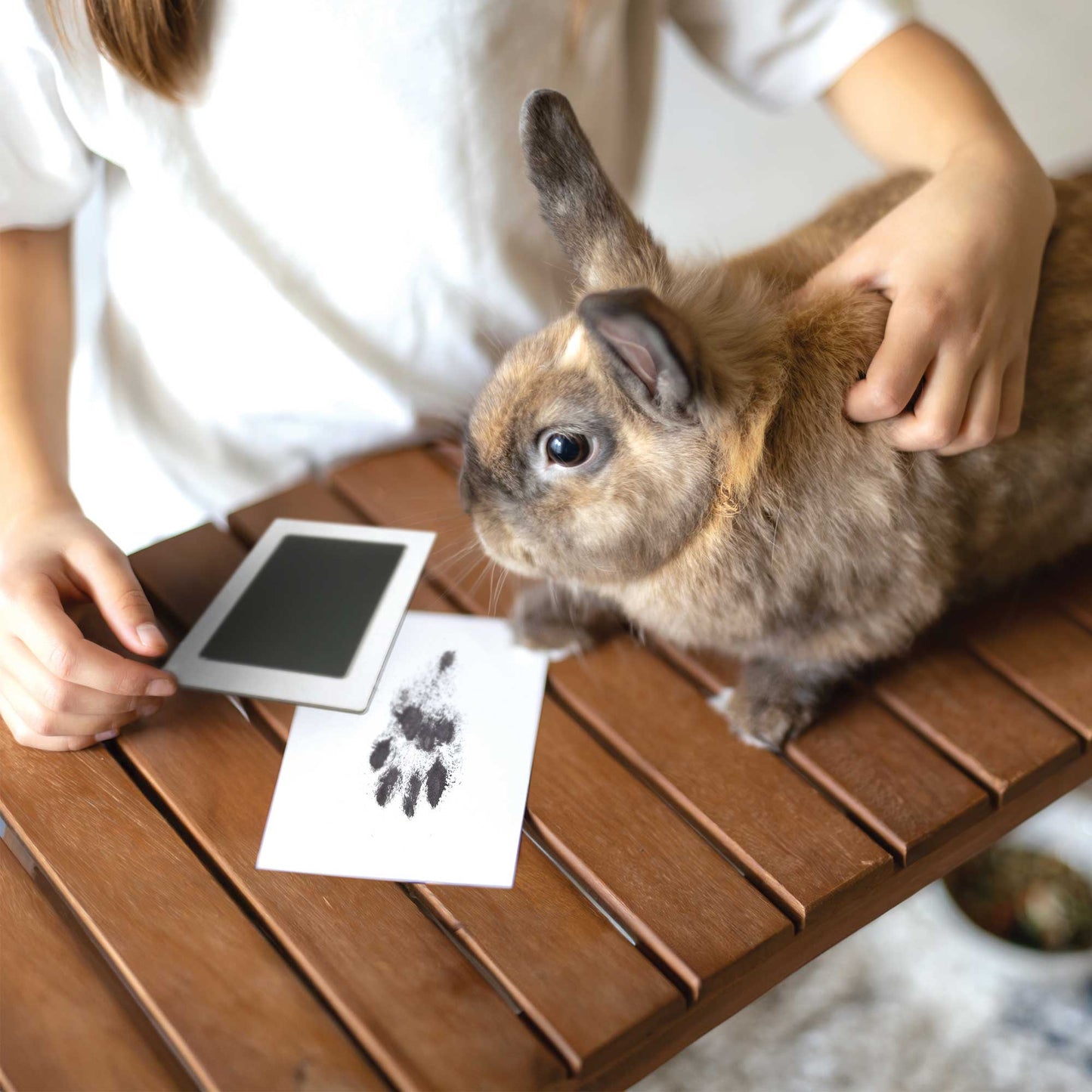 Paw Print Non-toxic Paw Print Ink Pad Kit For Small Mammals