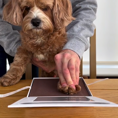 Oh So Precious Paw Pad Impression Kit
