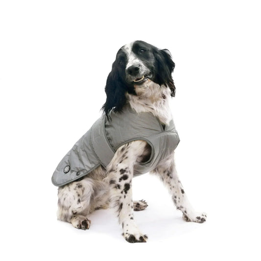Ancol Muddy Paws Ultimate Reflective Dog Coat Extra Small - North East Pet Shop Ancol
