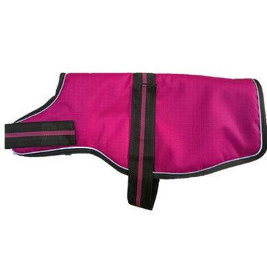 Animate Dachshund Padded Raspberry Dog Coat with adjustable belly strap 13Inch - North East Pet Shop Animate