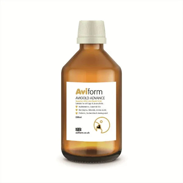 Avigold Advance All In One Liquid Birds Tonic 250ml - North East Pet Shop Aviform