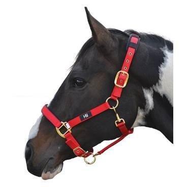 Hy Deluxe Padded Head Collar Red Full - North East Pet Shop Hy