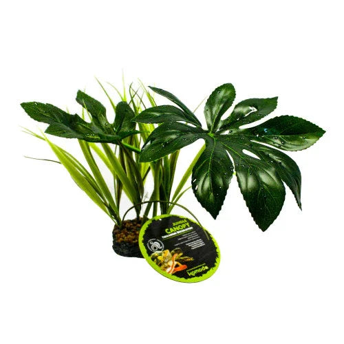 Komodo Jungle Canopy 42cm - North East Pet Shop Komodo
