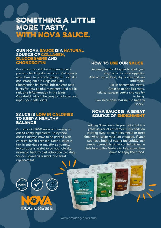 Mixed Box Sauces 100ml (20 pack) - North East Pet Shop Nova