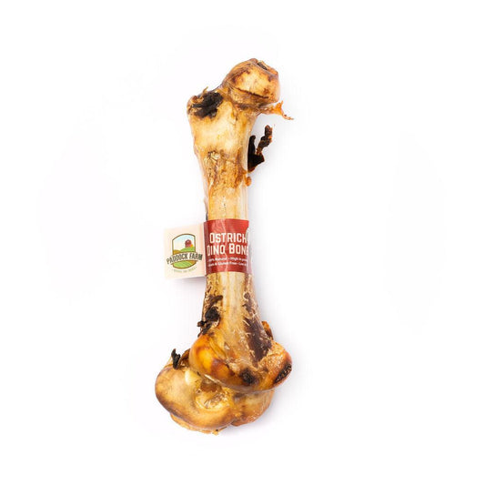 Ostrich Dino Bone - North East Pet Shop Paddock Farm