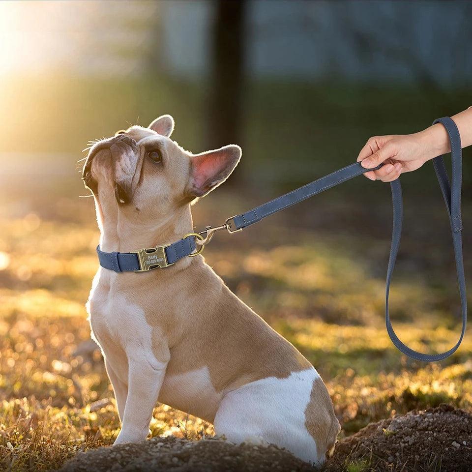 Personalised Dog Collar and Leash Set - Leather - North East Pet Shop Dog Shack UK