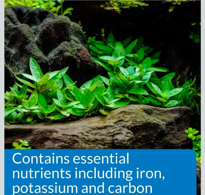 API ROOT TABS Freshwater Aquarium Plant Fertilizer 13 g 10-Count Box