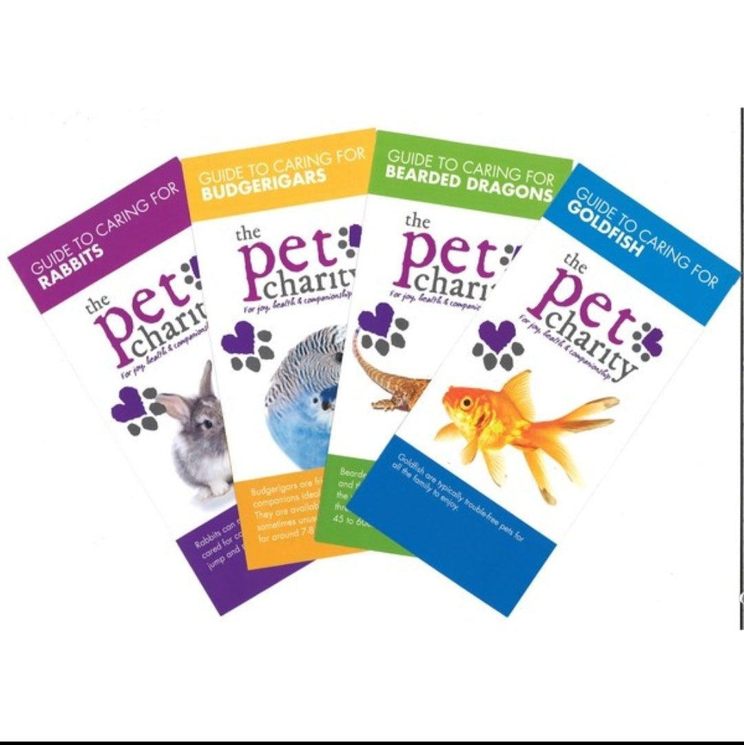The Pet Charity Guide To Caring For Chipmunks - North East Pet Shop North East Pet Shop